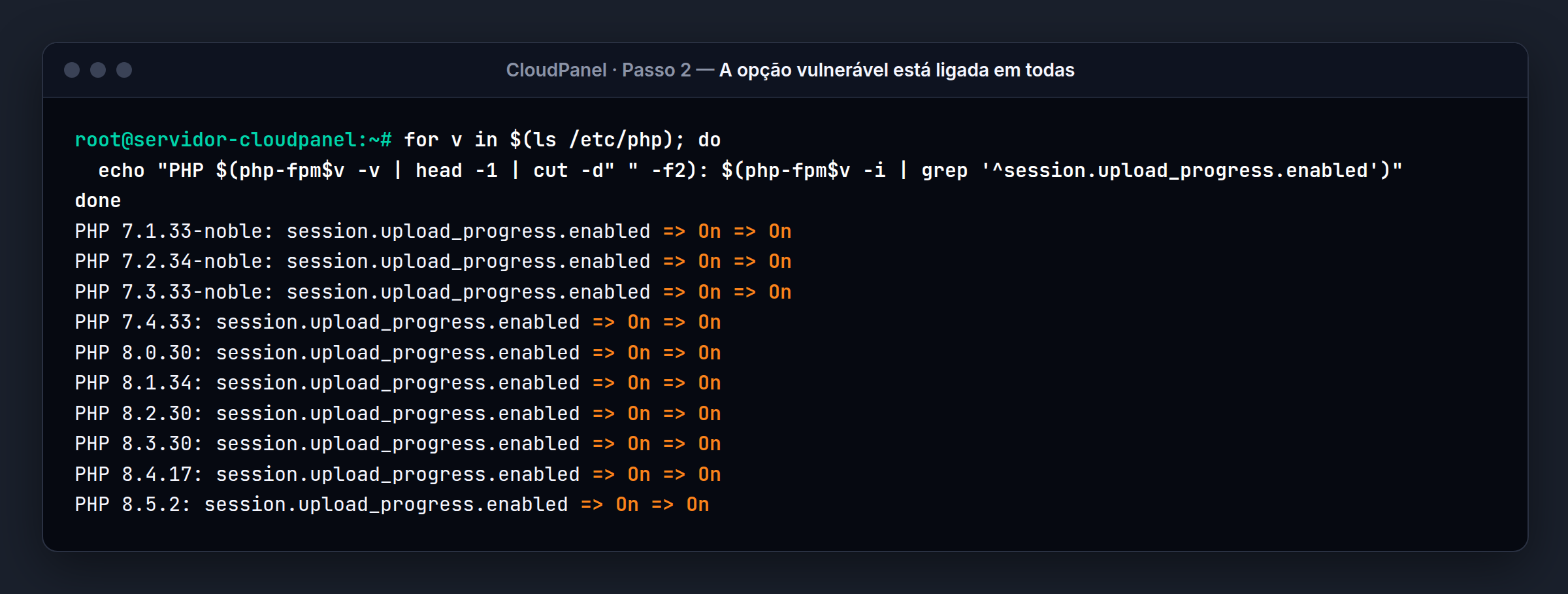 Terminal do servidor CloudPanel: Antes: On nas dez versões