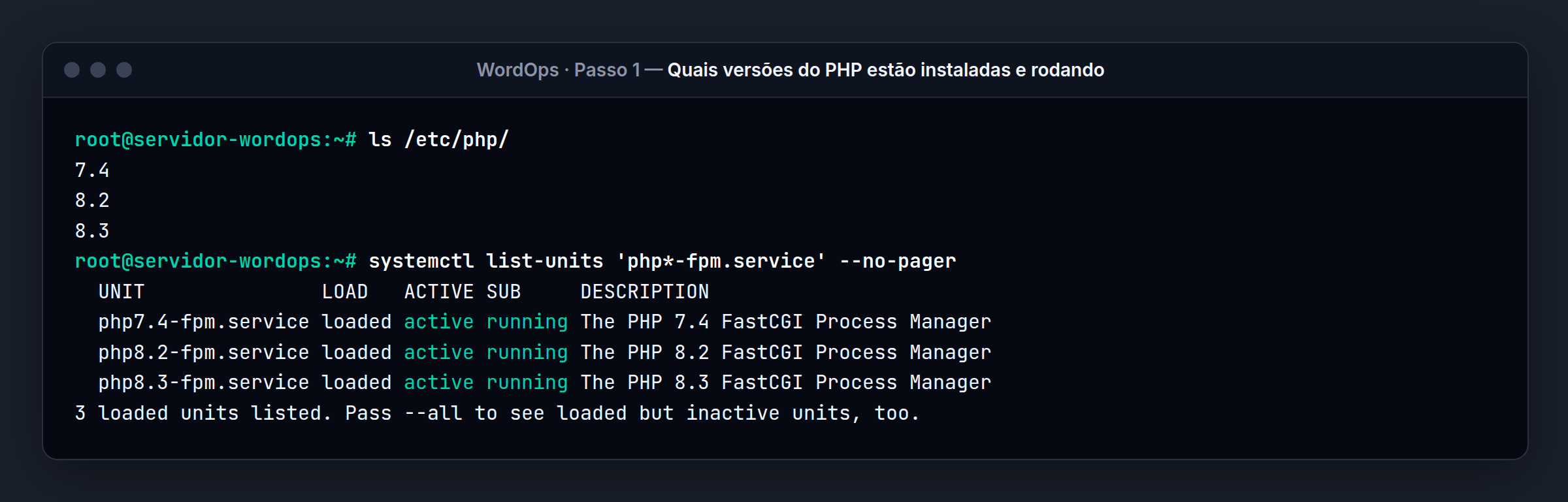 Terminal do servidor WordOps: Neste servidor, três versões do PHP estão rodando
