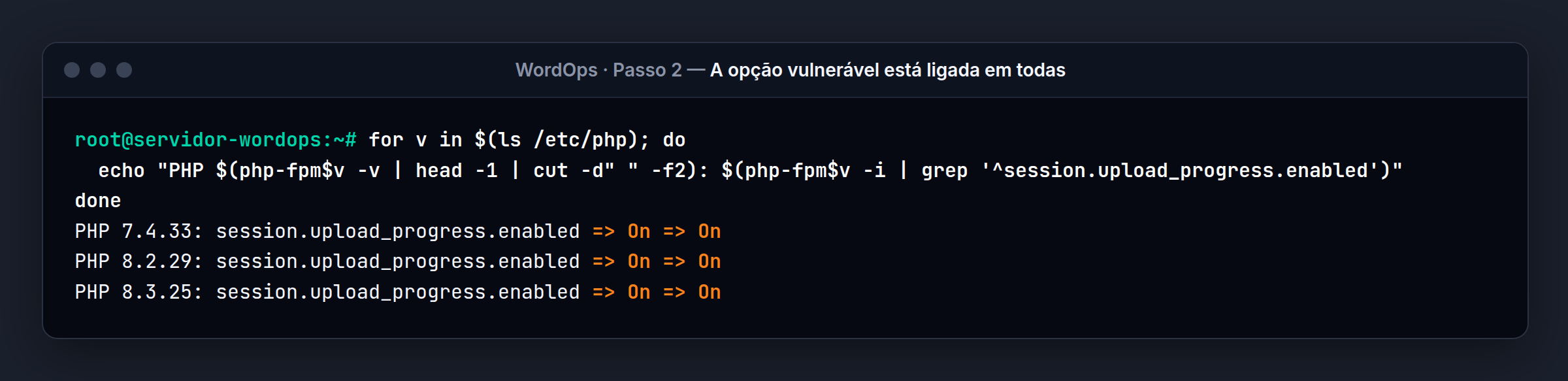 Terminal do servidor WordOps: On em todas: a opção vem ligada de fábrica no PHP