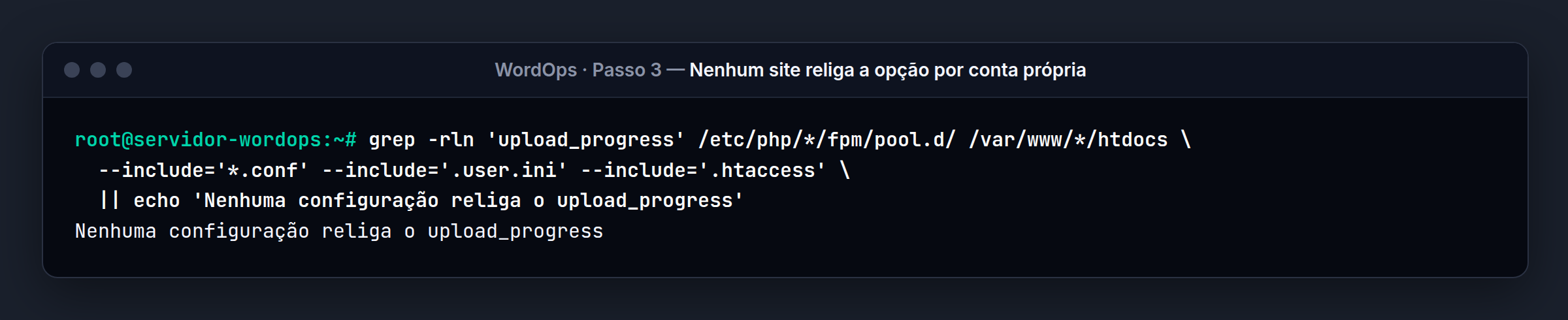 Terminal do servidor WordOps: Nenhuma configuração de site liga a opção de novo