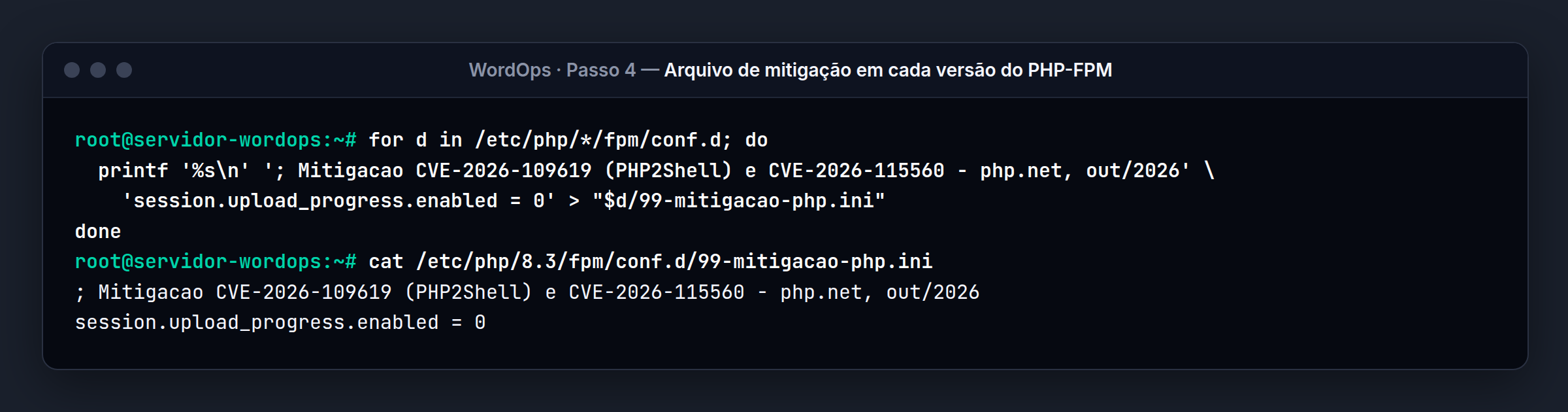 Terminal do servidor WordOps: O arquivo criado: uma linha de comentário e a opção desligada