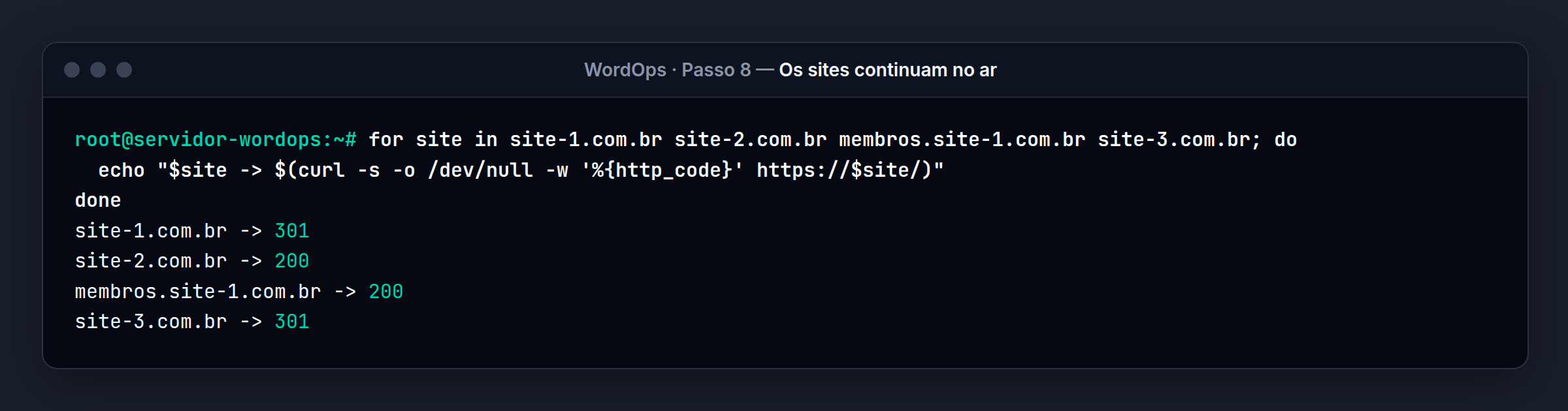 Terminal do servidor WordOps: Sites respondendo normalmente